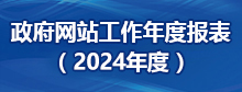网站年度报告